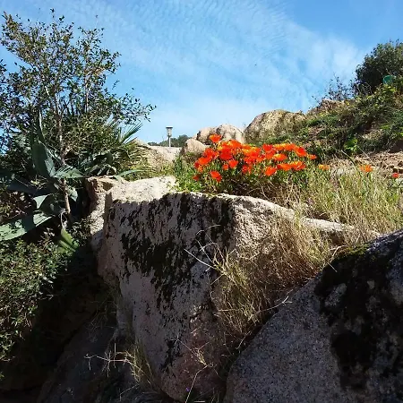 Casa Myrta 3 Etoiles Tatil Evi Porto-Vecchio (Corsica)