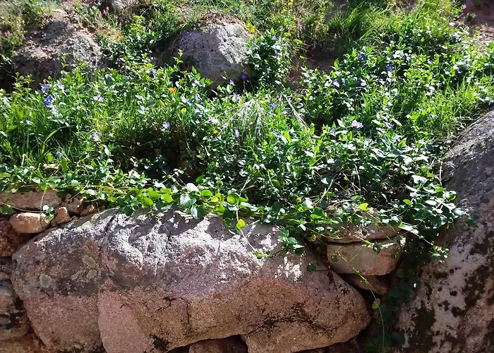 Casa Myrta 3 Etoiles