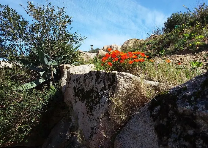 Casa Myrta 3 Etoiles Nyaraló Porto-Vecchio